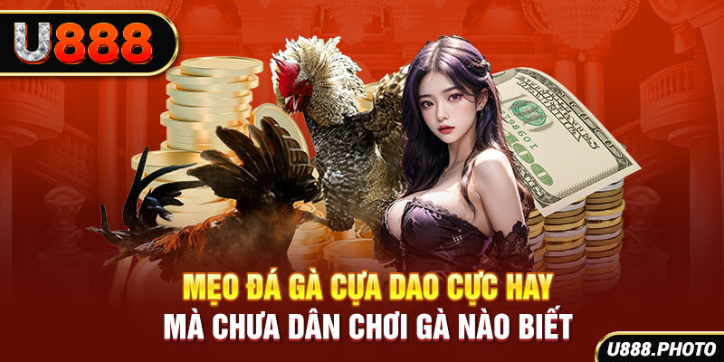 Mẹo Đá Gà Cựa Dao Cực Hay Mà Chưa Dân Chơi Gà Nào Biết