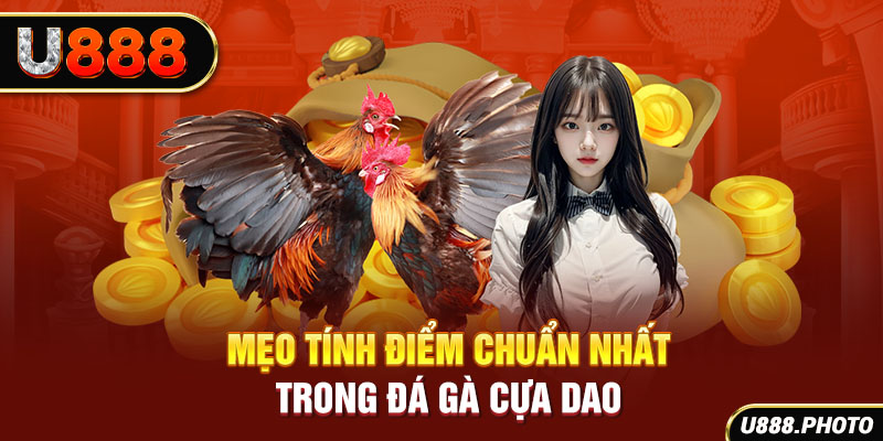 Mẹo tính điểm chuẩn nhất trong đá gà cựa dao