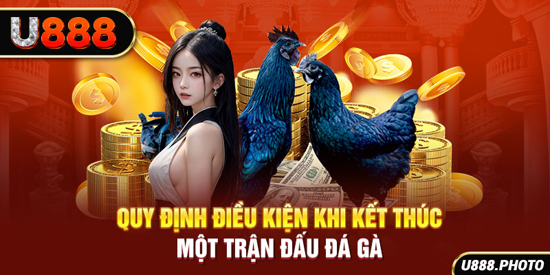 Quy định điều kiện khi kết thúc một trận đấu đá gà