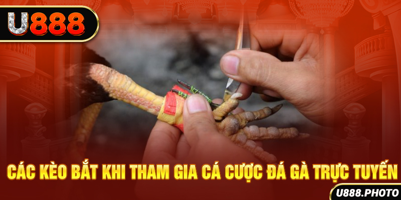 Các kèo bắt khi tham gia cá cược đá gà trực tuyến