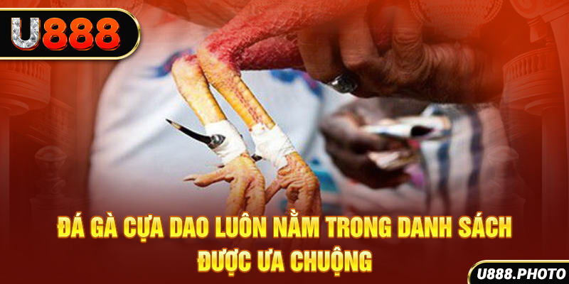 Đá gà cựa dao luôn nằm trong danh sách được ưa chuộng