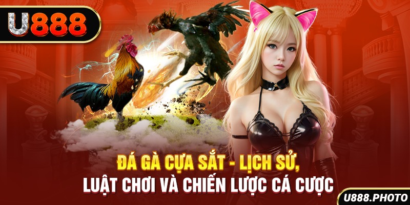 Đá Gà Cựa Sắt - Lịch Sử, Luật Chơi Và Chiến Lược Cá Cược