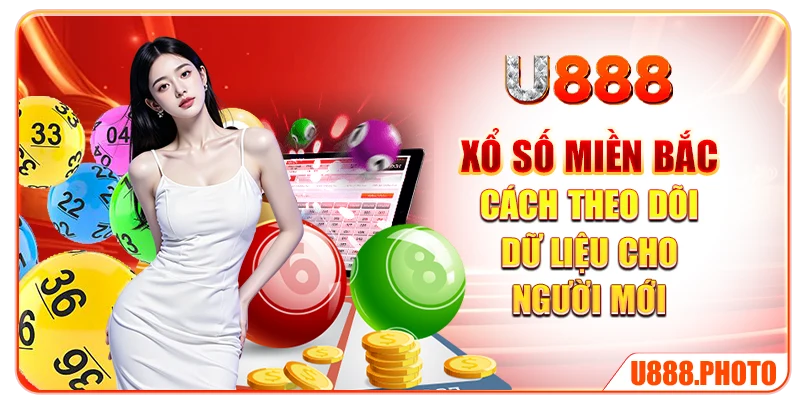 Xổ Số Miền Bắc - Cách Theo Dõi Dữ Liệu Cho Người Mới